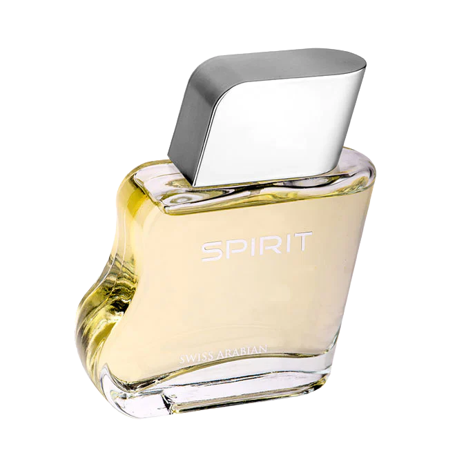 SPIRIT FOR MEN 100ML